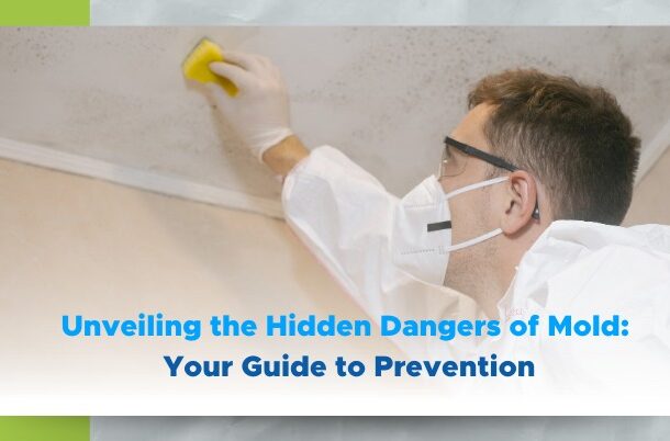 Unveiling the Hidden Dangers of Mold: Your Guide to Prevention